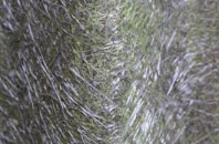 Grabhair fibreglass roof work